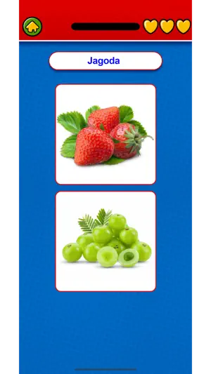 Learn Bosnian Flashcards screenshot 2