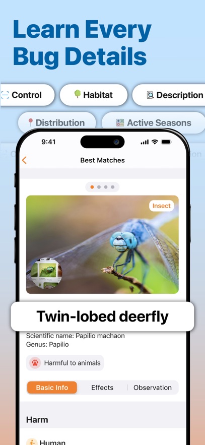 InsectAI - Bug Identifier