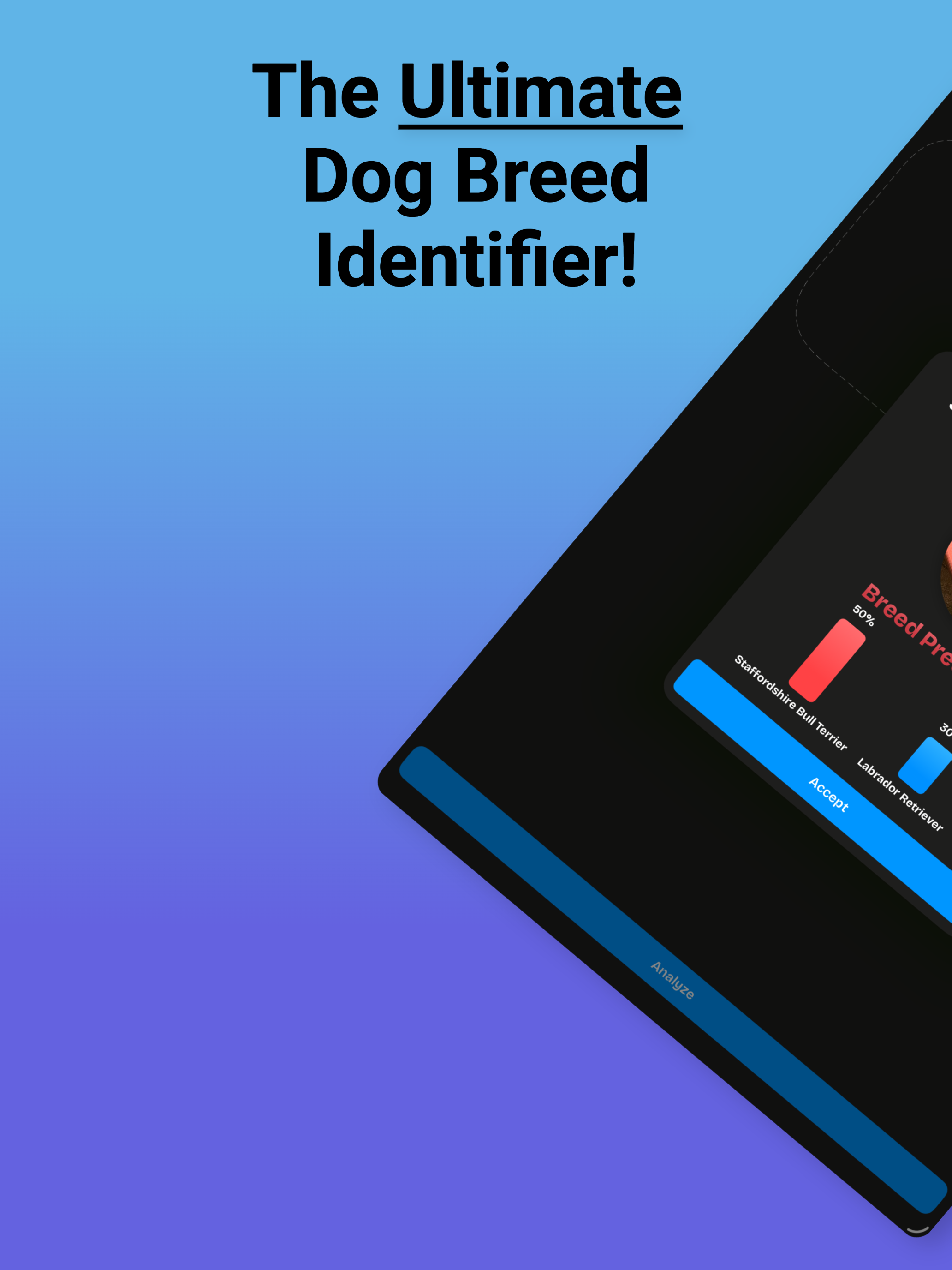 Dog Scanner: Breed Analyzer