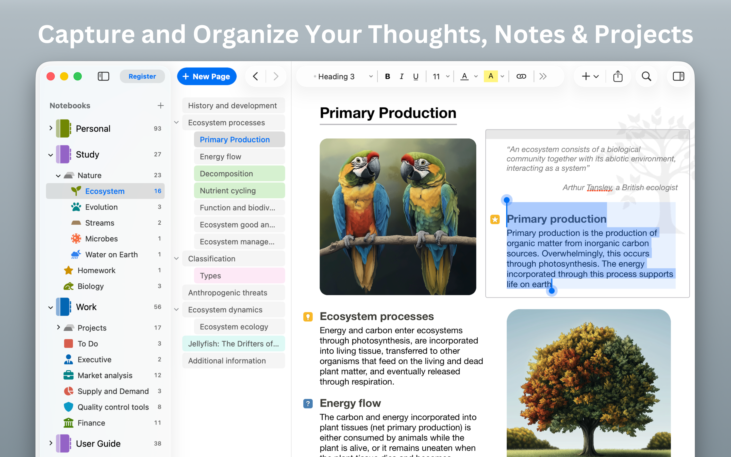 Outline: Notes and More