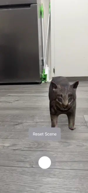 OIIA CAT screenshot 2