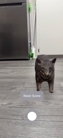 OIIA CAT Screenshot 2 of 2