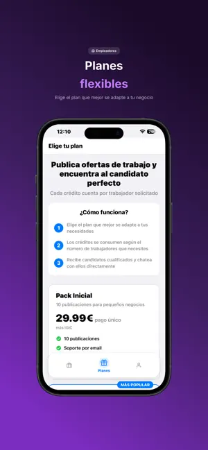 NiquelJob screenshot 4