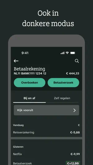 RegioBank screenshot 3