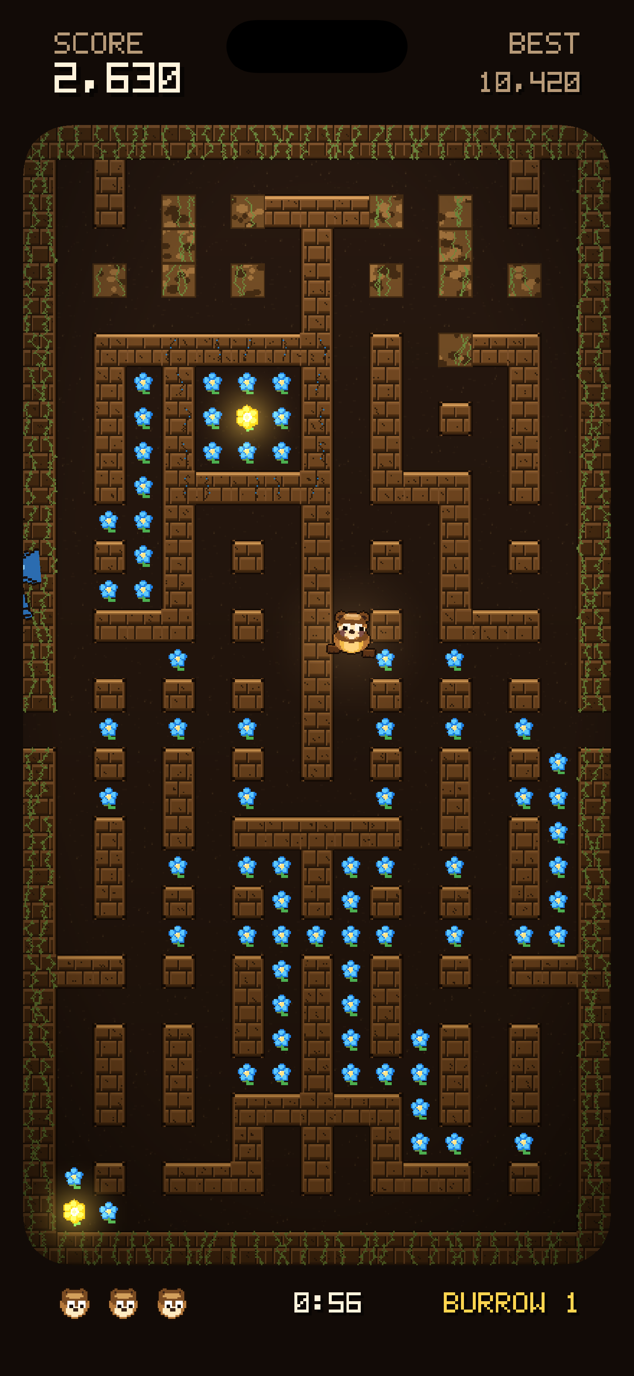 Run Fat Marmot Run screenshot 4