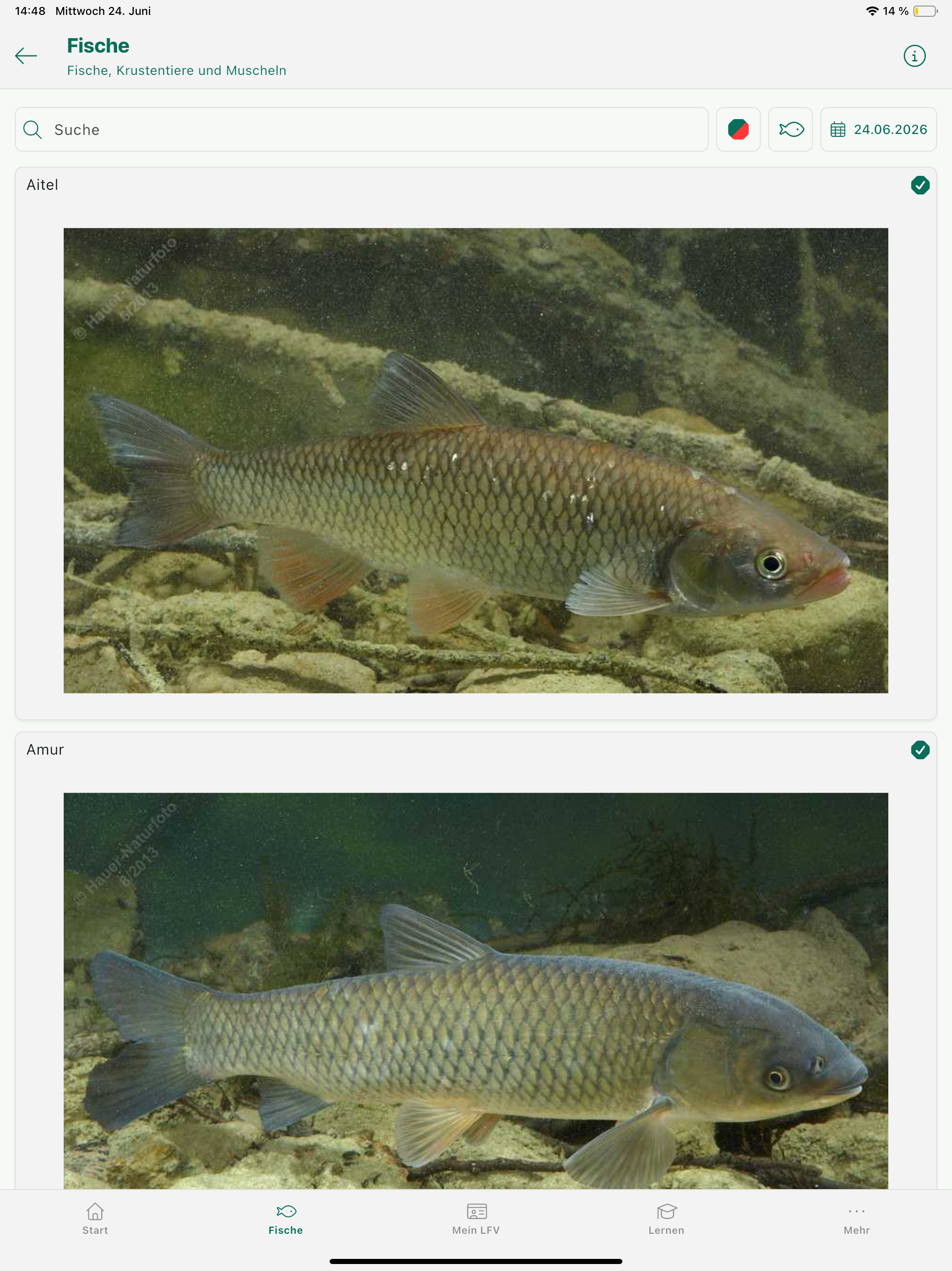 Fische OÖ - Schonbestimmungen screenshot 9