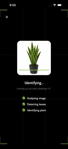 AI Plant Identifier. screenshot