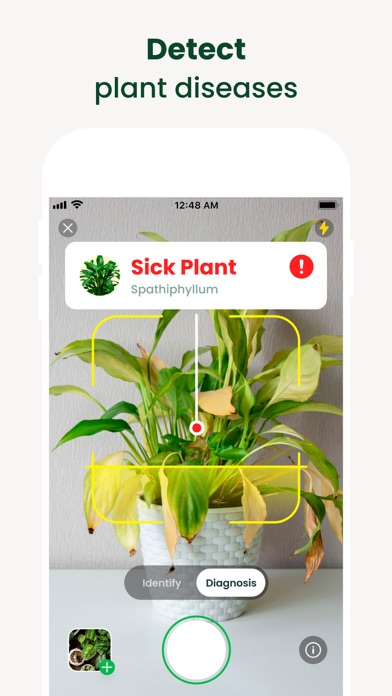 AI Plant Finder: Identify Scan Screenshot