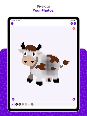 Pixel Color By Number ! iPad screenshot