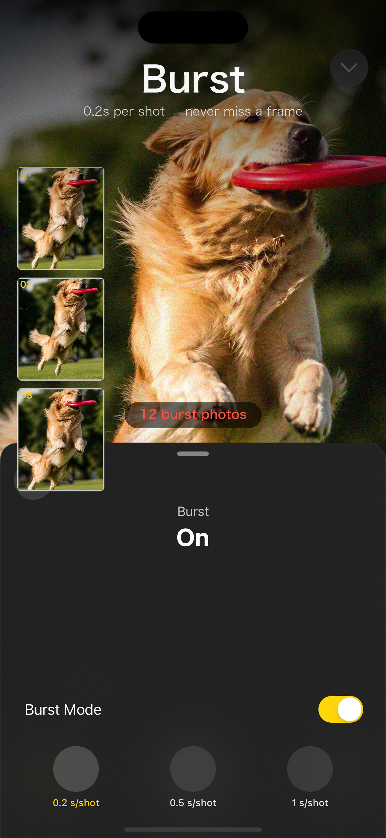 Yun — AI Capture what you see screenshot 8