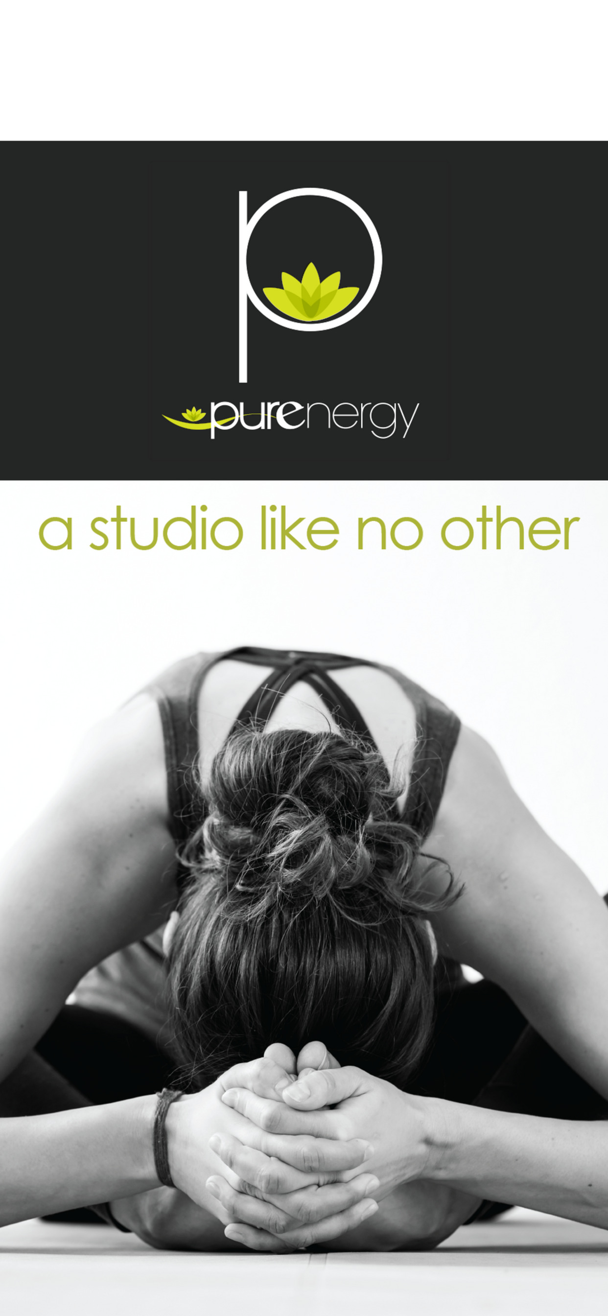 Purenergy Studio