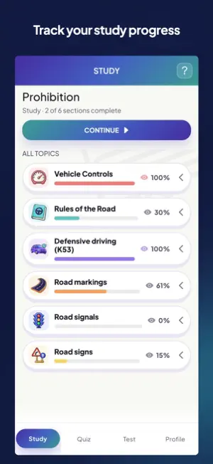 K53 Study Guide: Learner Test screenshot 1