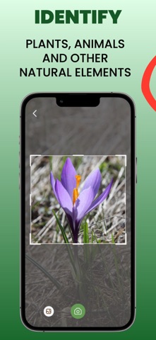 Nature Scanner: AI Identifier Screenshot 1 of 4