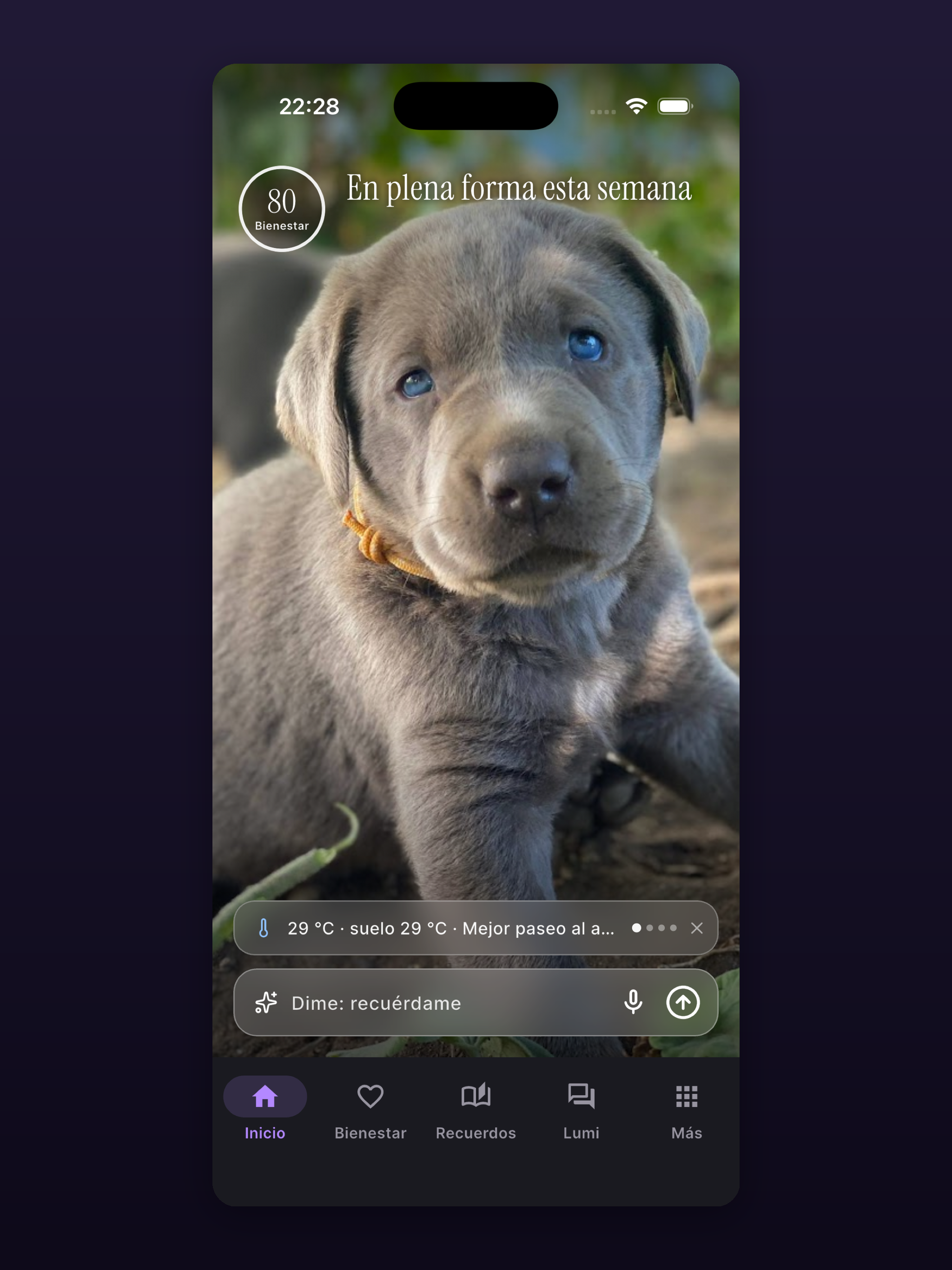 Purzi: Your Dog's Health screenshot 5