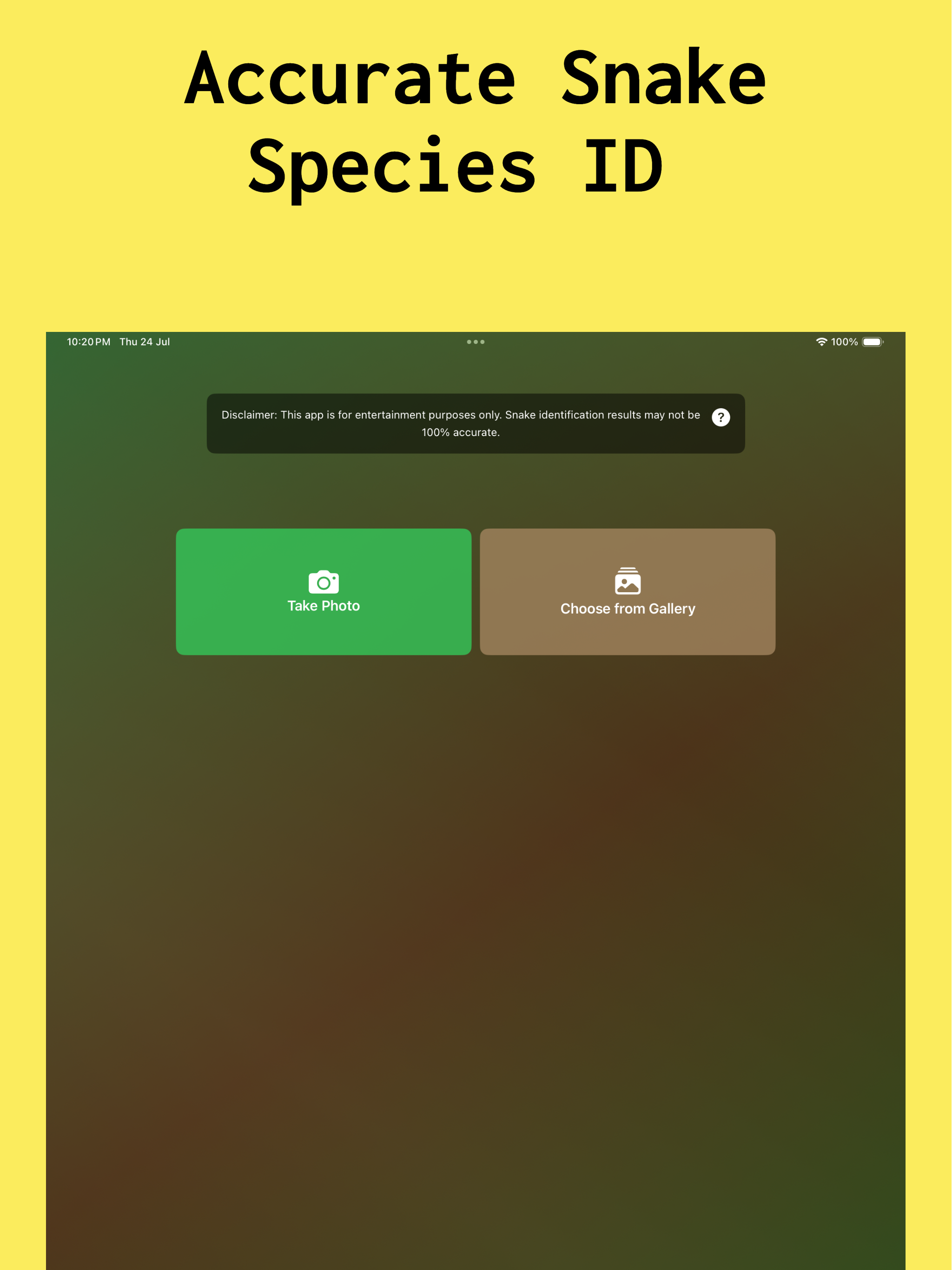 Snake Identifier : SnakeID App