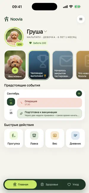 Noovia: Pet Care screenshot 1