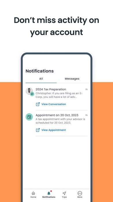 1-800Accountant Screenshot