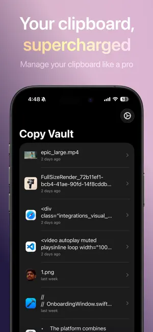 Copy Vault screenshot 1