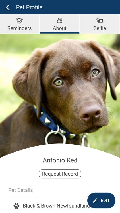 Deer Ridge Animal Hospital