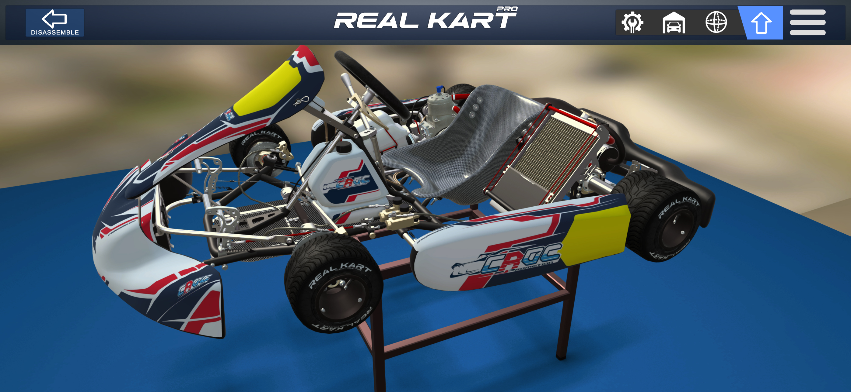 Real Kart PRO