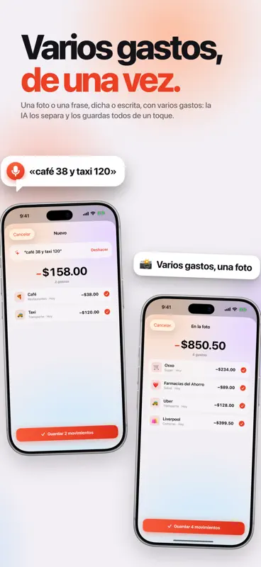 Countey: Gastos y Ahorro IA screenshot 5 of 9