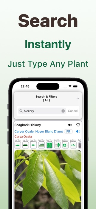 Forest Tree Identifier Screenshot 7 of 9