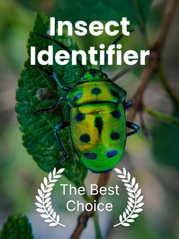 Insect Identifier - Insectby