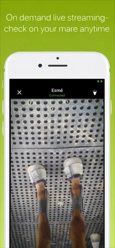 FoalApp Receiver screenshot 3 of 4