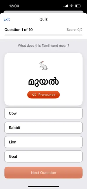 Lingo South screenshot 4