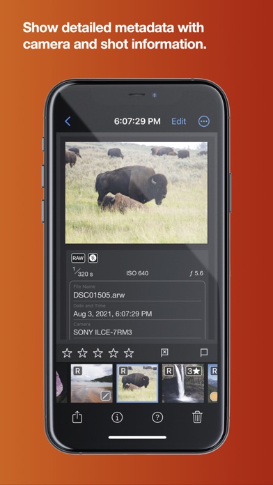 Nitro Photo Screenshot