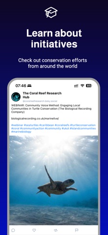 One Ocean Network screenshot