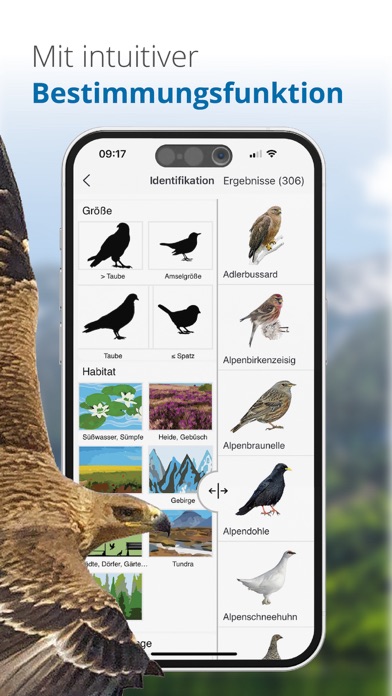 Vögel in Österreich Screenshot