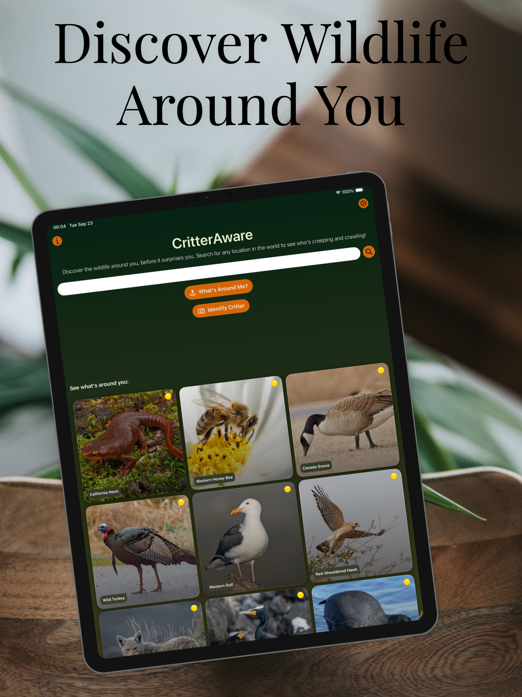 CritterAware: Wildlife Finder