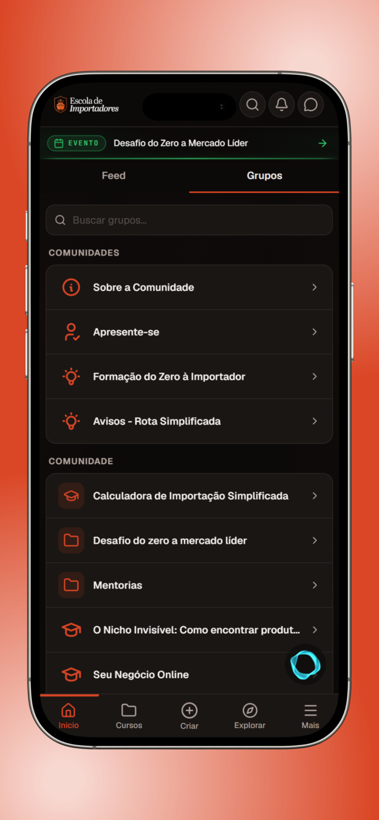 Escola de Importadores screenshot 5