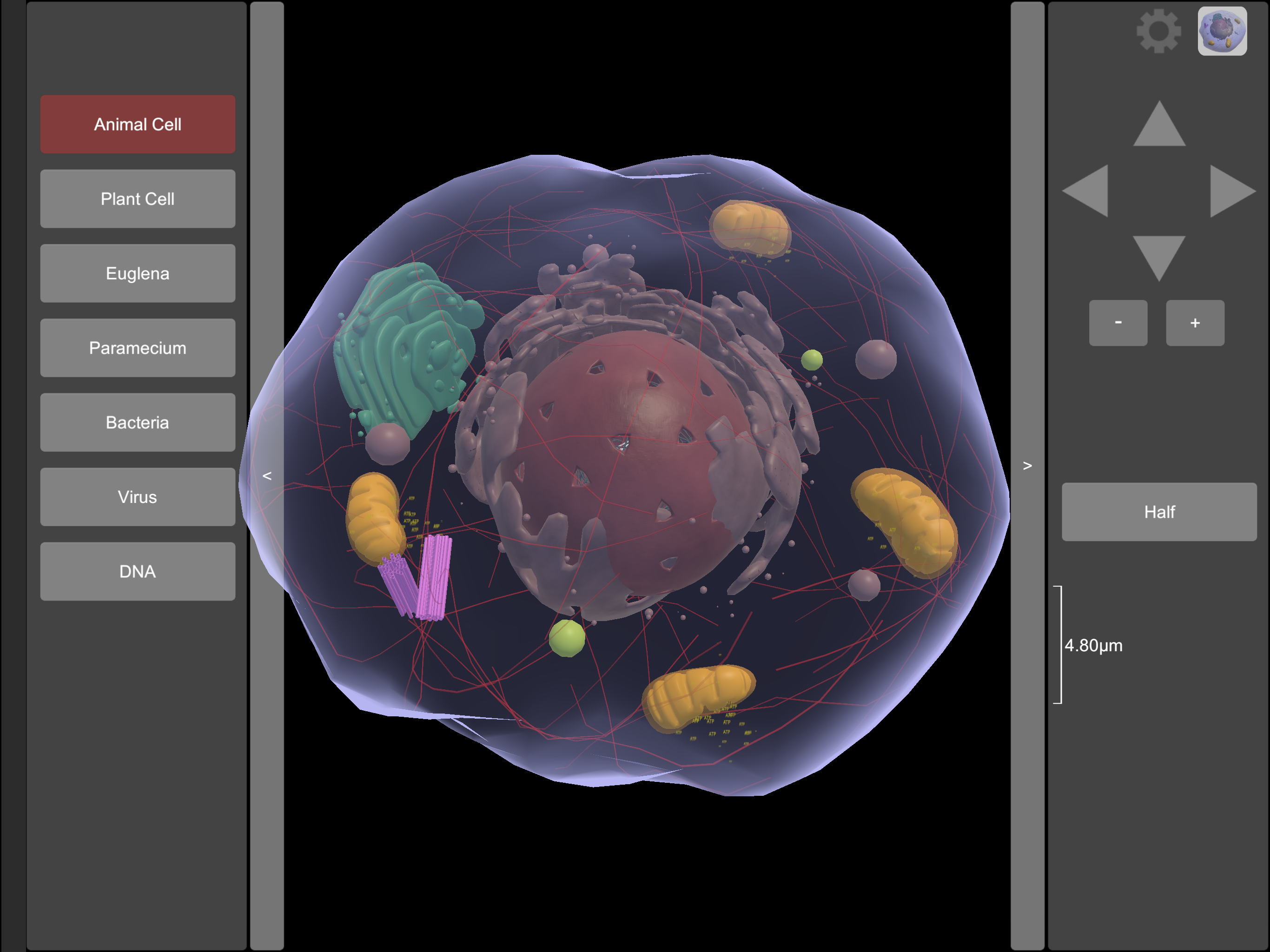 3D Virtual Cell screenshot 8