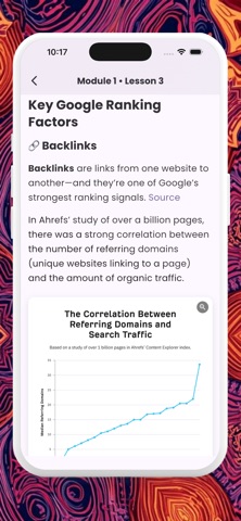 Learn SEO - Complete Course iPhone screenshot