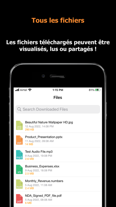 Screenshot #3 pour Blaze : Navigateur hors ligne