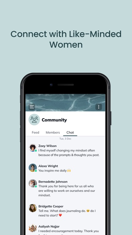 MOMSET Community screenshot-3
