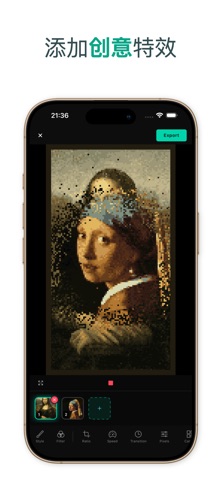 Pixallary: Pixel Video Maker screenshot