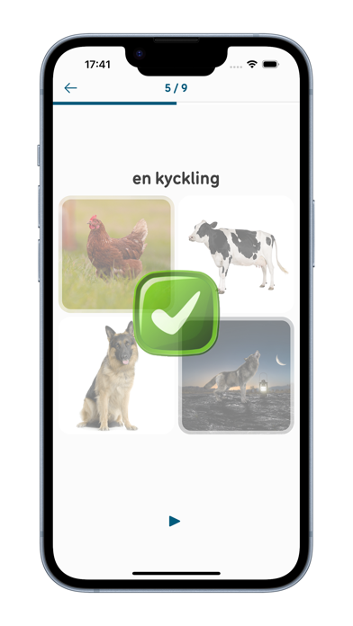 Wordful Swedish Screenshot