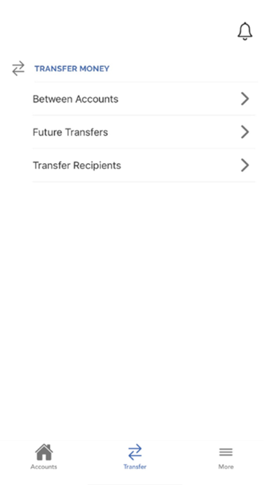 Spanish Lookout Credit Union Screenshot