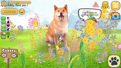 Fruwee: Virtual Pet Dog Games Screenshot