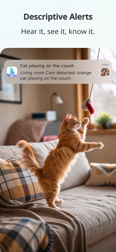 blurams - This visual demonstrates the app's intelligent alerts, providing users with descriptive notifications like 'Cat playing on the couch' and precise AI-powered detection details of specific activities.