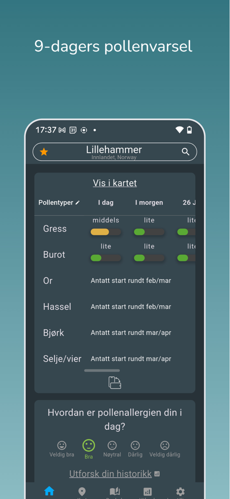 Airmine Pollen screenshot 1