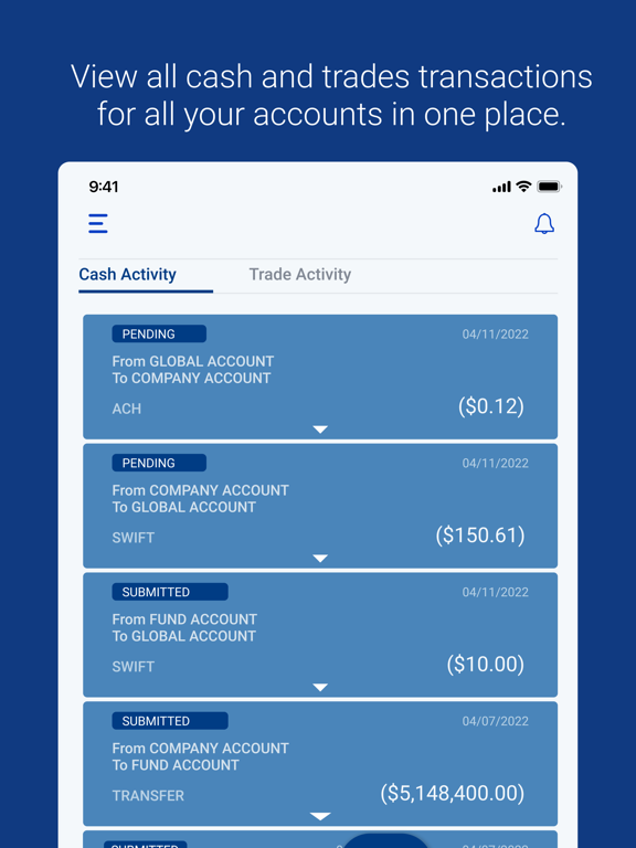 U.S. Bank Pivot iPad screenshot 5 - Finance app