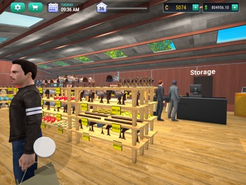 Horse Shop Simulator iPad screenshot
