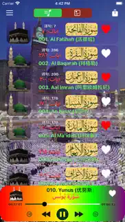 quran chinese translation problems & solutions and troubleshooting guide - 2