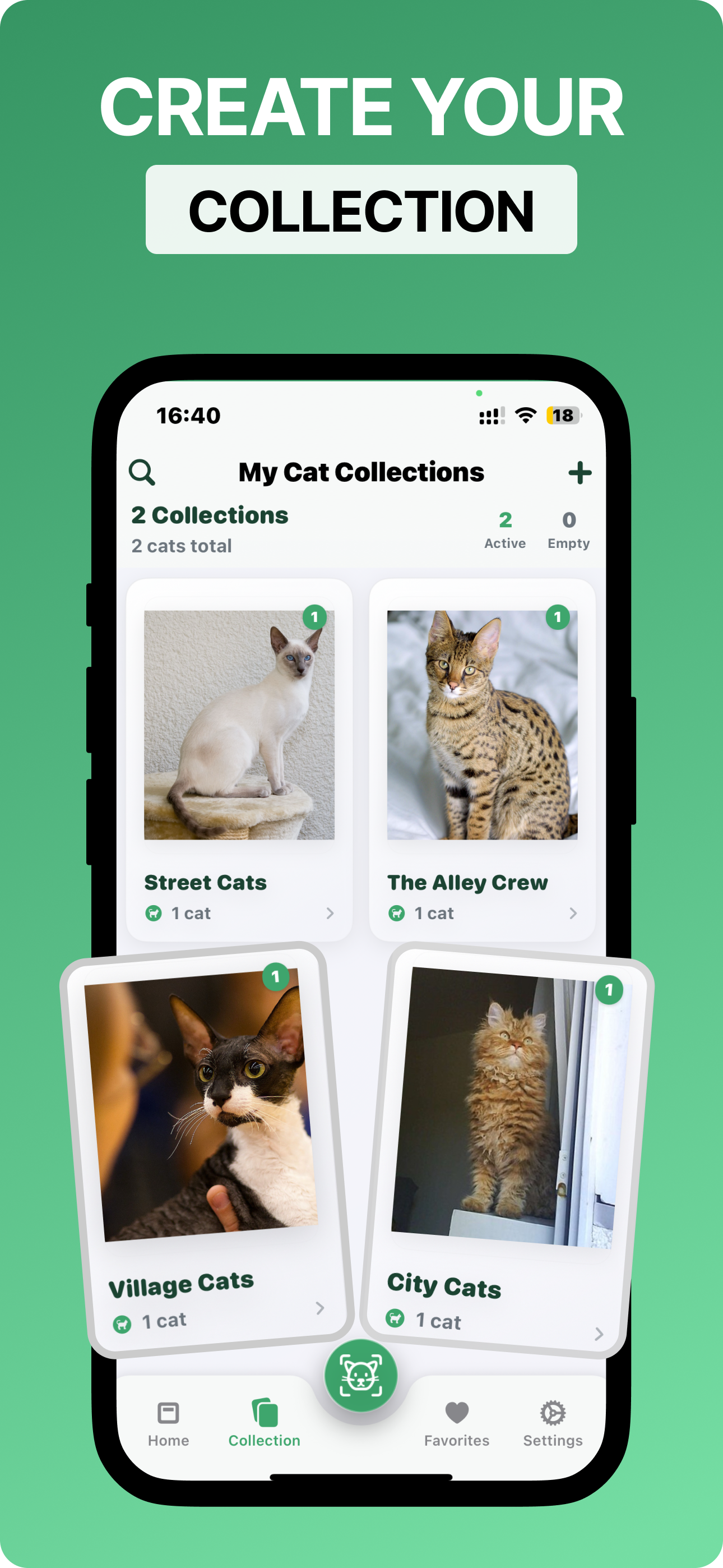 Cat Identifier Cat Scanner