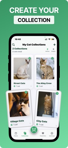Cat Breed Identifier - CatScan screenshot