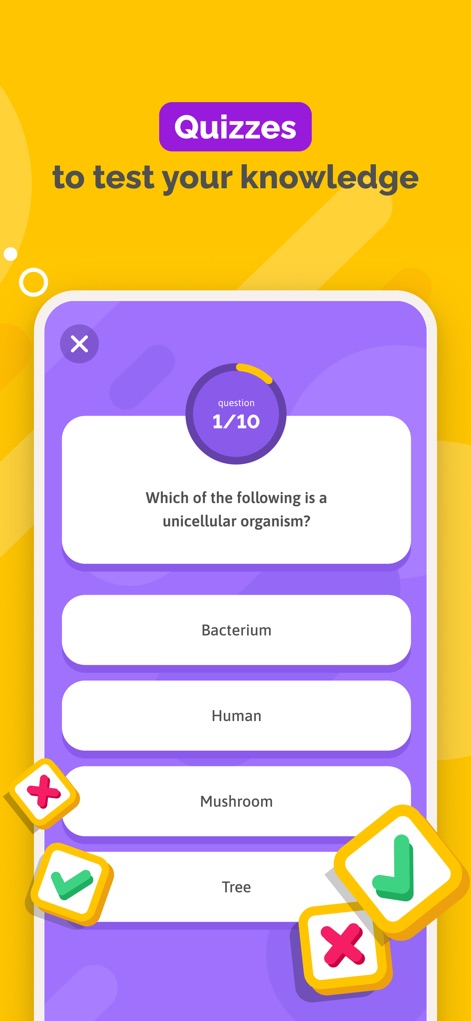 SchoolMouv - AI Tutor & Quiz - L'application propose des quiz interactifs avec une question à choix multiples pour tester les connaissances et un feedback visuel instantané grâce aux icônes de bonne réponse ("green tick") et de mauvaise réponse ("red cross").